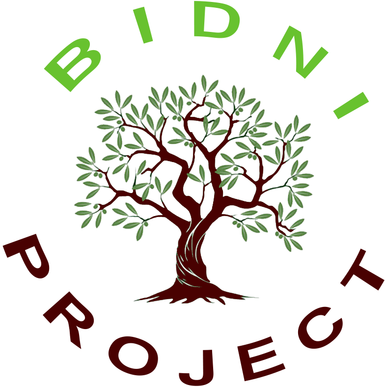 Bidni Logo